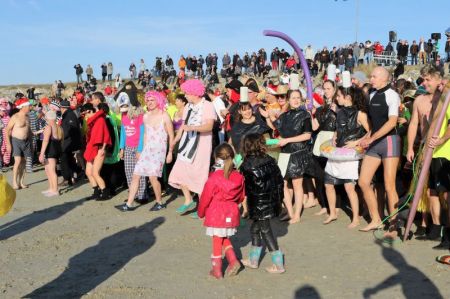 Baignade des Otaries de Rhuys 2016 (1)