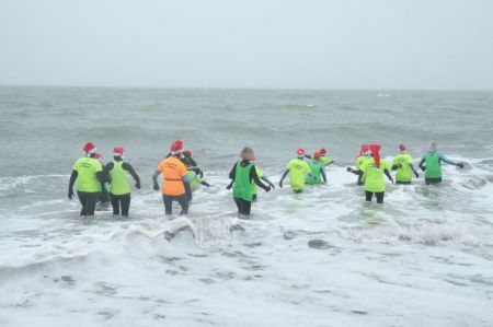 Otaries de Rhuys 2018 (2)