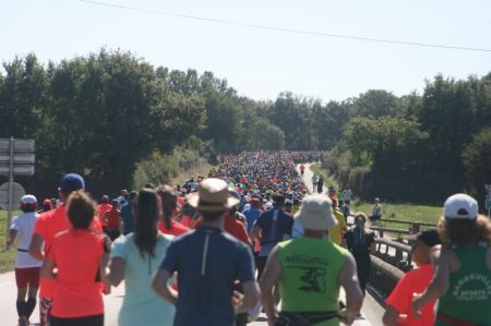 Dans la course (3) 2019